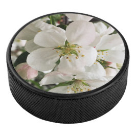 Drijvende krabappel hockey puck