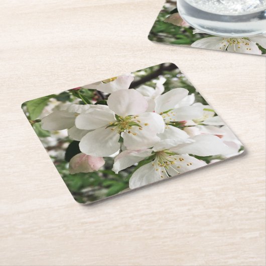 Drijvende krabappel kartonnen onderzetters (Schuin)