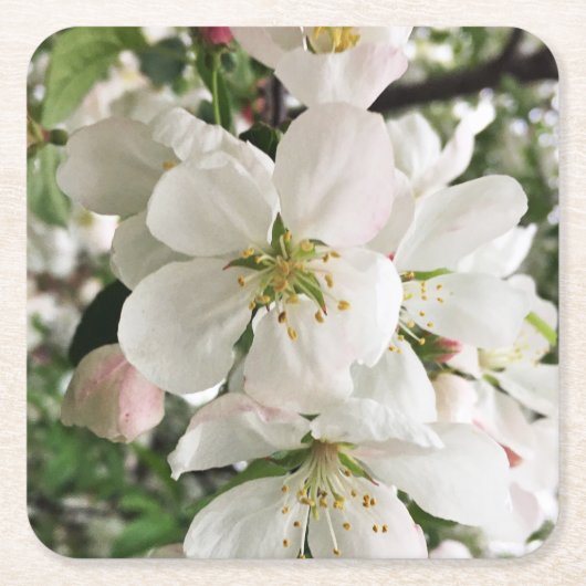 Drijvende krabappel kartonnen onderzetters (Voorkant)