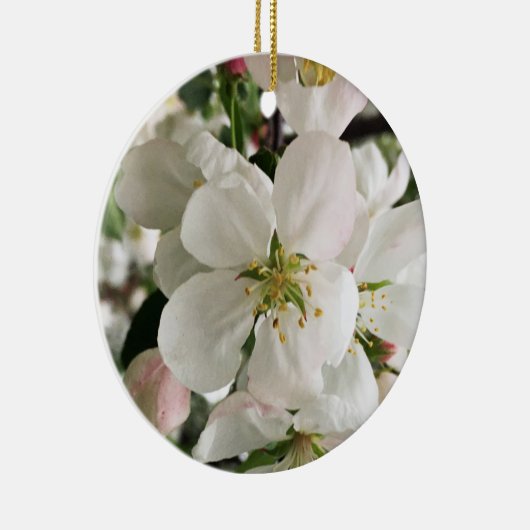 Drijvende krabappel keramisch ornament (Rechts)