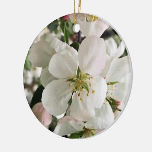 Drijvende krabappel keramisch ornament (Links)