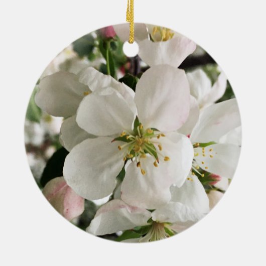 Drijvende krabappel keramisch ornament (Achterkant)