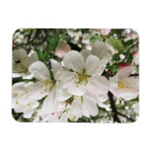 Drijvende krabappel magneet (Horizontaal)