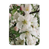 Drijvende krabappel magneet (Verticaal)