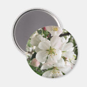 Drijvende krabappel magneet (Voorkant / Achterkant)