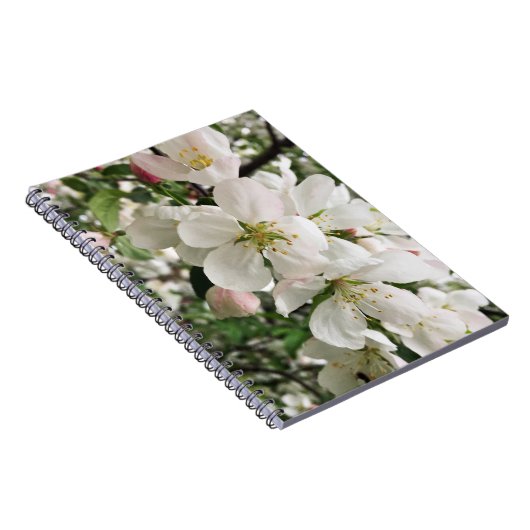 Drijvende krabappel notitieboek (Rechterzijde)