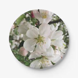 Drijvende krabappel papieren bordje