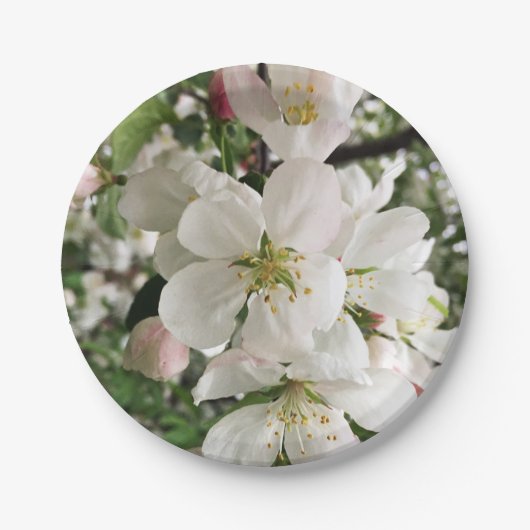 Drijvende krabappel papieren bordje (Voorkant)