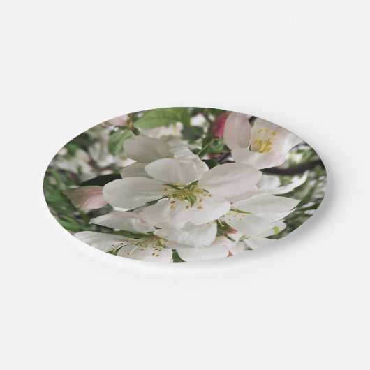 Drijvende krabappel papieren bordje (Gekanteld)