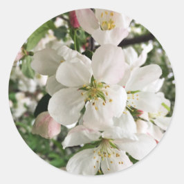 Drijvende krabappel ronde sticker