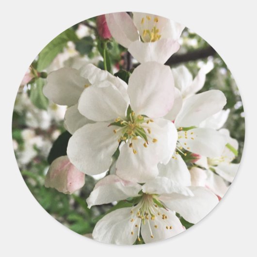 Drijvende krabappel ronde sticker (Voorkant)