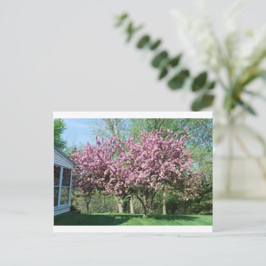 Drijvende krabappelbomen briefkaart (Staand voorkant)