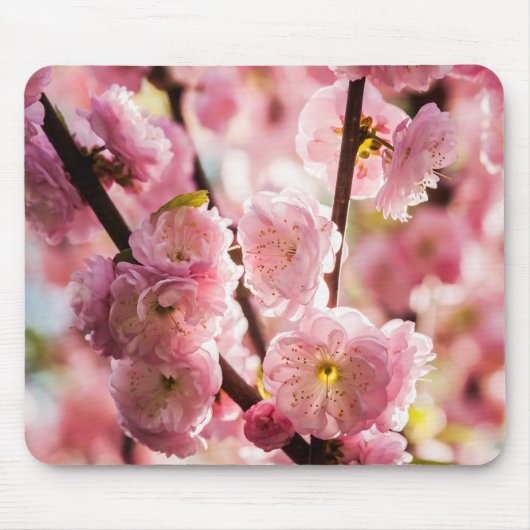 Drijvende kruimel - Roze paradize Muismat (Voorkant)