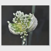 Drijvende lentuin cadeaupapier (Vlak)