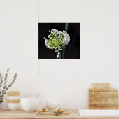 Drijvende lentuin poster (Keuken)