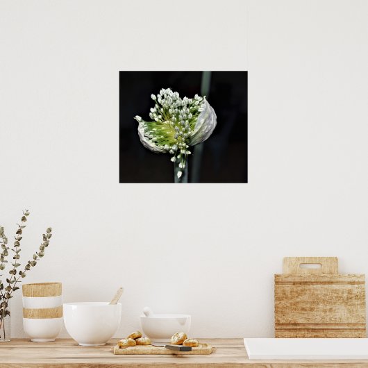 Drijvende lentuin poster (Keuken)