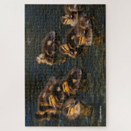 Drijvende levende kurken: 9 Cute Mallard Ducklings Legpuzzel
