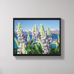 Drijvende Lupine Nieuw-Zeeland Canvas Afdruk