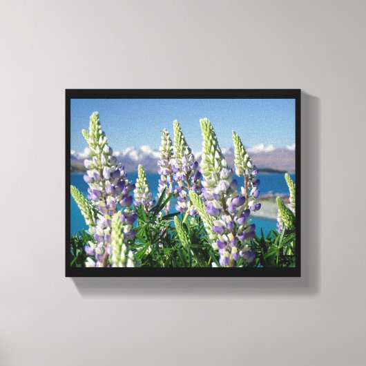 Drijvende Lupine Nieuw-Zeeland Canvas Afdruk (Voorkant)