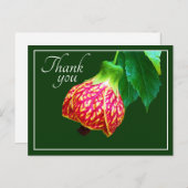 Drijvende maple groen achtergrond bedankt briefkaart (Voorkant / Achterkant)