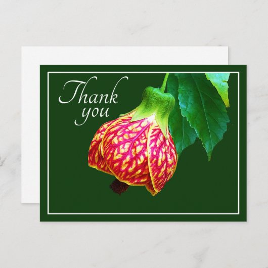 Drijvende maple groen achtergrond bedankt briefkaart (Voorkant / Achterkant)