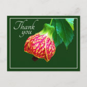 Drijvende maple groen achtergrond bedankt briefkaart (Voorkant)