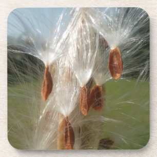 Drijvende Milkweed Seeds Art Print/Graphic Bier Onderzetter