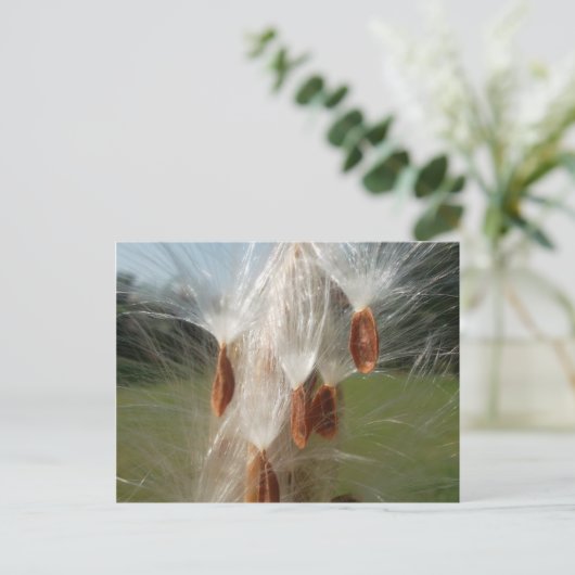 Drijvende Milkweed Seeds Art Print/Graphic Briefkaart (Staand voorkant)