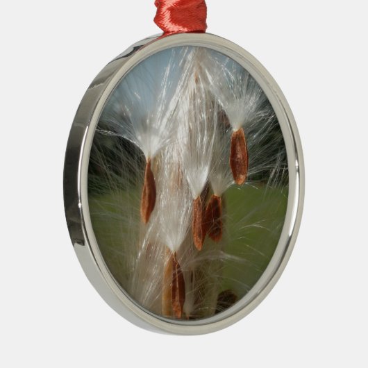 Drijvende Milkweed Seeds Art Print/Graphic Metalen Ornament (Rechts)