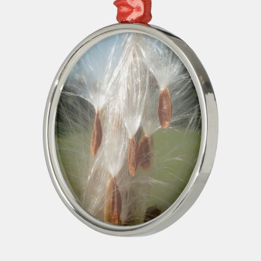 Drijvende Milkweed Seeds Art Print/Graphic Metalen Ornament (Links)