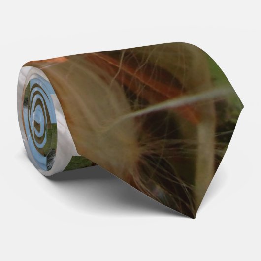 Drijvende Milkweed Seeds Art Print/Graphic Stropdas (Opgerold)