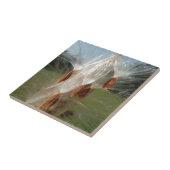 Drijvende Milkweed Seeds Art Print/Graphic Tegeltje (Zijkant)