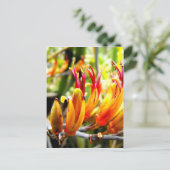 Drijvende Nieuw-Zeelandse vlas Briefkaart (Staand voorkant)