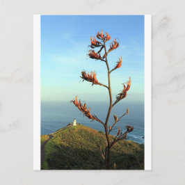Drijvende Nieuw-Zeelandse vlas Cape Reinga Briefkaart