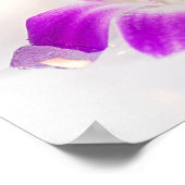 drijvende orchideeën en kaarsen poster (Hoek)