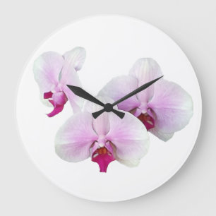 Drijvende orchideeën klok