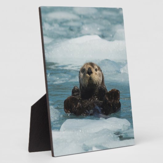 Drijvende otter fotoplaat (Zijkant)