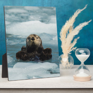 Drijvende otter fotoplaat