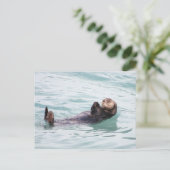 Drijvende Otter in Alaska Briefkaart (Staand voorkant)