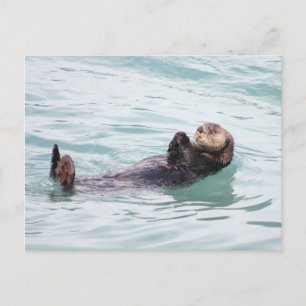 Drijvende Otter in Alaska Briefkaart