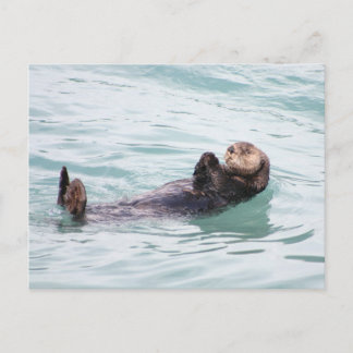 Drijvende Otter in Alaska Briefkaart