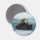 Drijvende otter magneet (Voorkant / Achterkant)