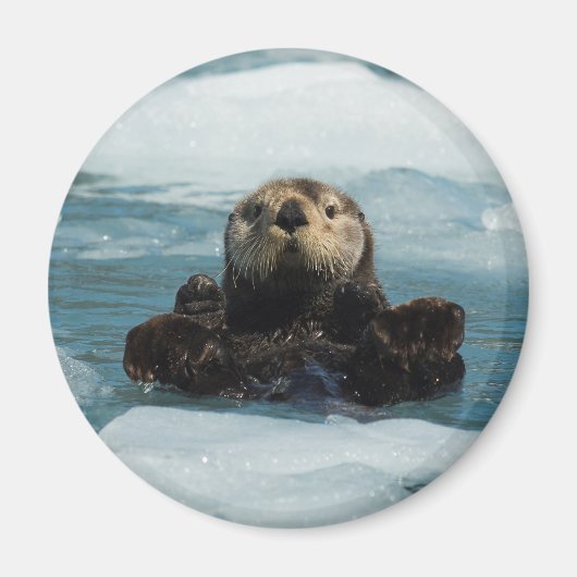 Drijvende otter magneet (Voorkant)