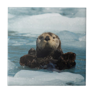 Drijvende otter tegeltje