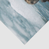 Drijvende otter tissuepapier (Detail)