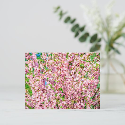 Drijvende pruimen briefkaart (Staand voorkant)