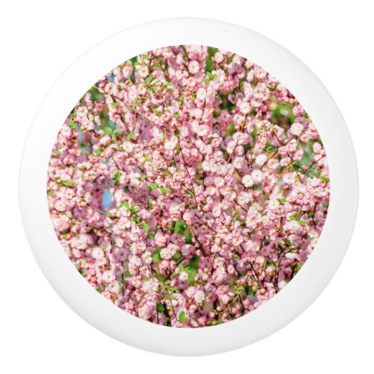 Drijvende pruimen keramische knop (Voorkant)