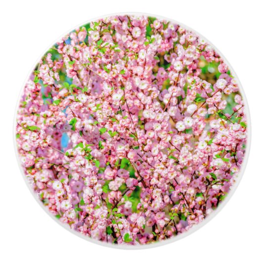 Drijvende pruimen keramische knop (Voorkant)