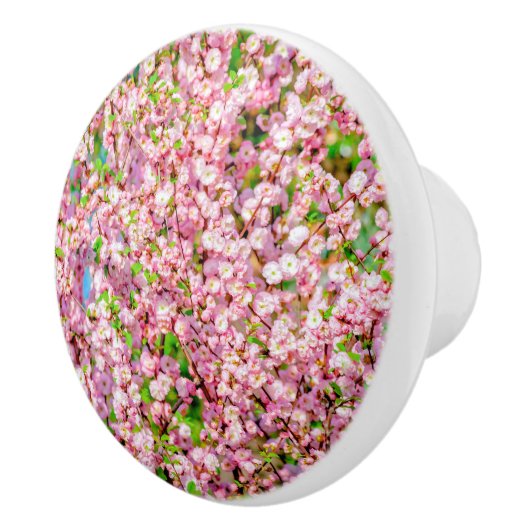 Drijvende pruimen keramische knop (Rechts)