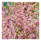 Drijvende pruimen poster (Voorkant)